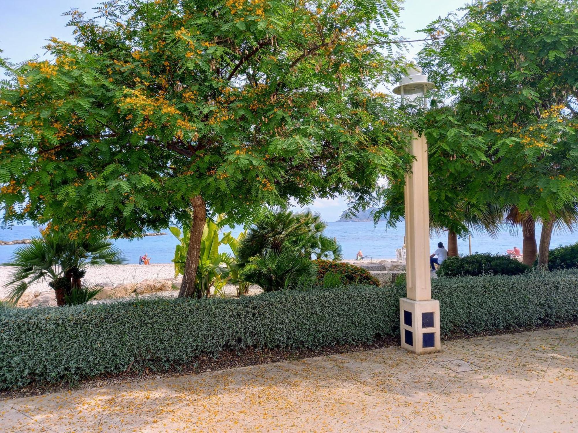 Olivos Holiday Home Altea Exteriör bild
